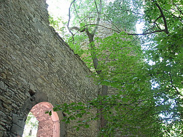 Burgruine Turm Schauenforst