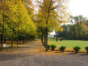 Schlosspark Molsdorf