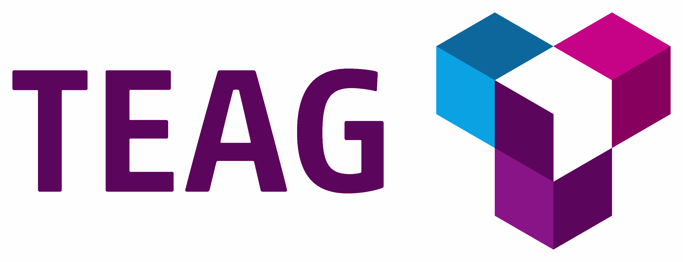 Logo: TEAG