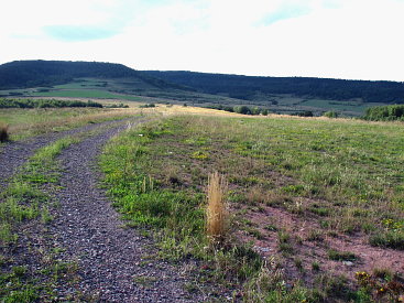 Weg im Naturschutzgebiet Rothenstein