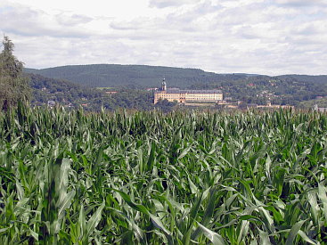Blick von der Schillershöhe auf die Heidecksburg.