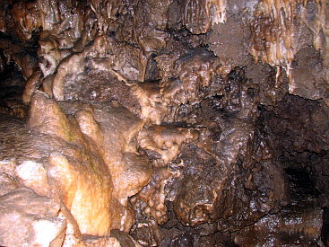 Trofsteinhöhle Kittelsthal - Versinterungen