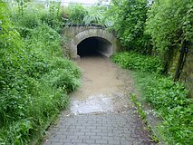 Hochwasser Mai/Juni 2013: Eisenbahndurchgang an der Ernst-Thälmann-Straße