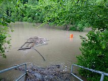 Hochwasser Mai/Juni 2013: hinter der Saalebrücke