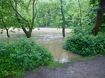 Hochwasser Mai/Juni 2013: Fußweg an der Saale in der nähe vom Sportplatz