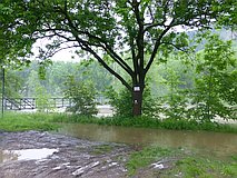 Hochwasser Mai/Juni 2013: Blick zur Saalebrücke