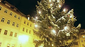 Weihnachten 2010: Weihnachtsbaum Markt (25.12.2010)