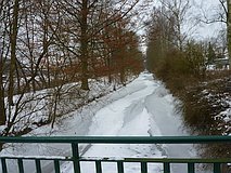 Winter 2012: Lachebrücke (13. Februar 2012)