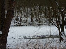 Winter 2012: komplett zugefrorene Saale (13. Februar 2012)