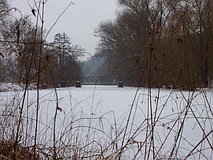 Winter 2012: komplett zugefrorene Saale mit Saalebrücke (13. Februar 2012)